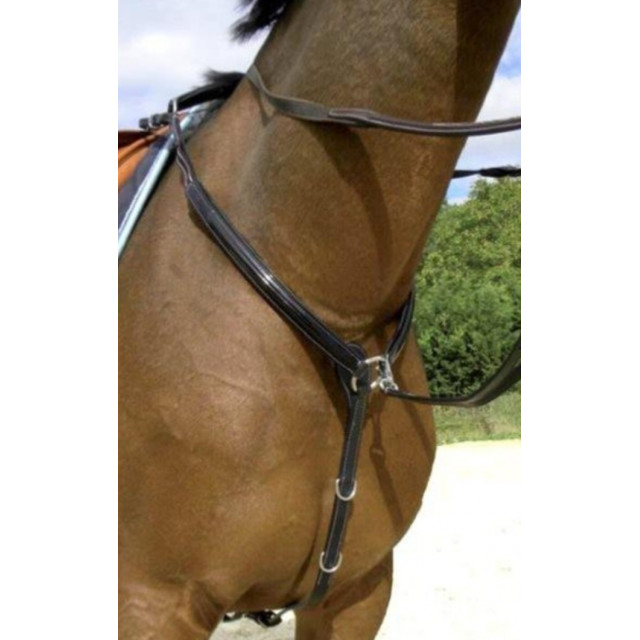 Collier de chasse