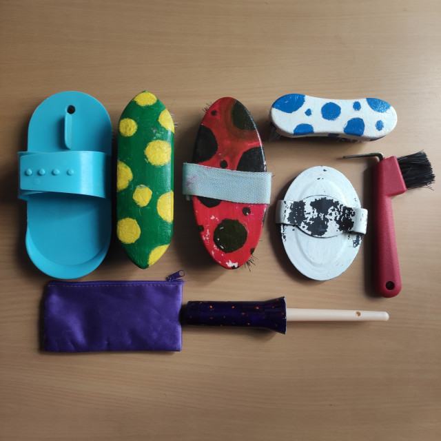 Kit de pansage