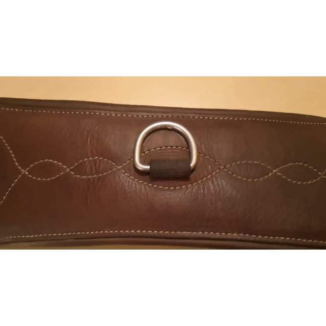 Sangle courte dressage antares