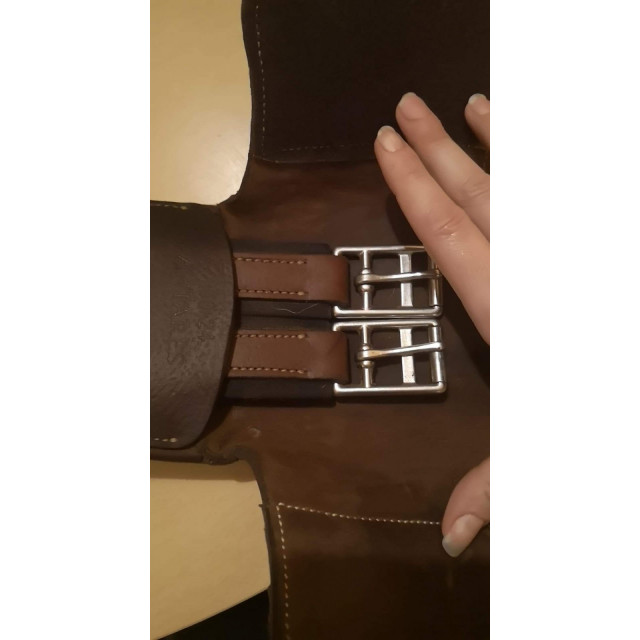 Sangle courte dressage antares