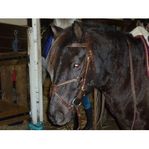 Filet muserolle croisée