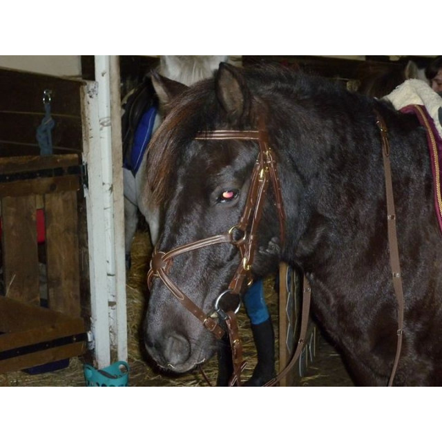 Filet muserolle croisée