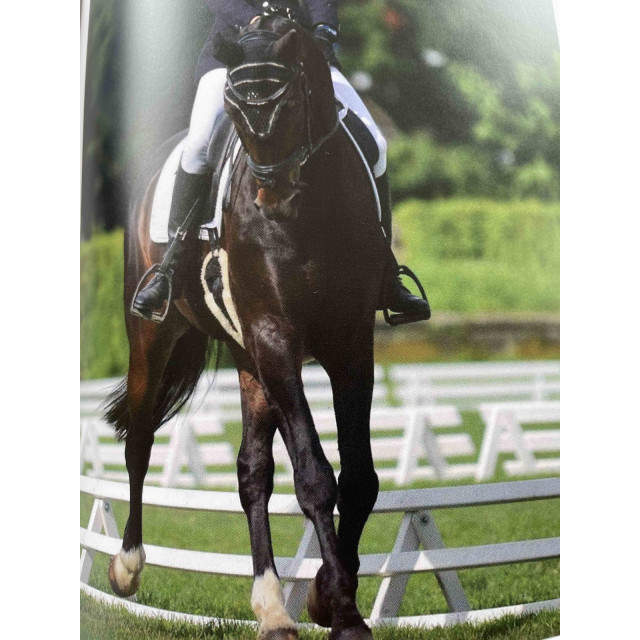 DEVOUCOUX filet cuir noir