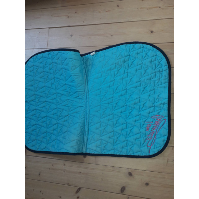 Tapis et amortisseur