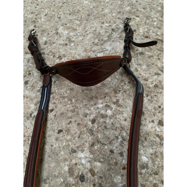 Collier de chasse Antares