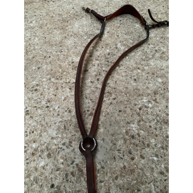 Collier de chasse Antares