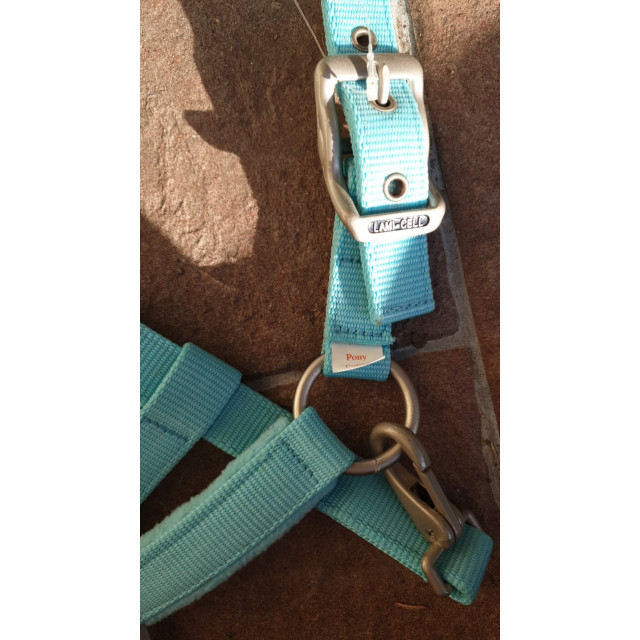 Licol lamicelle neuf turquoise