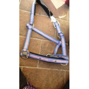 Licol eskadron Nici  poney