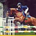 Kask Lady