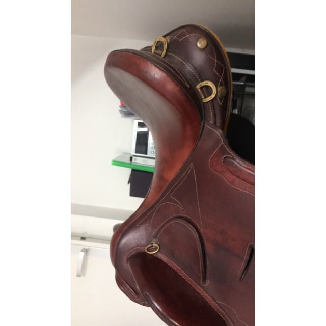 Selle type australienne