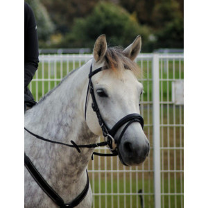 Bridon anatomique noir