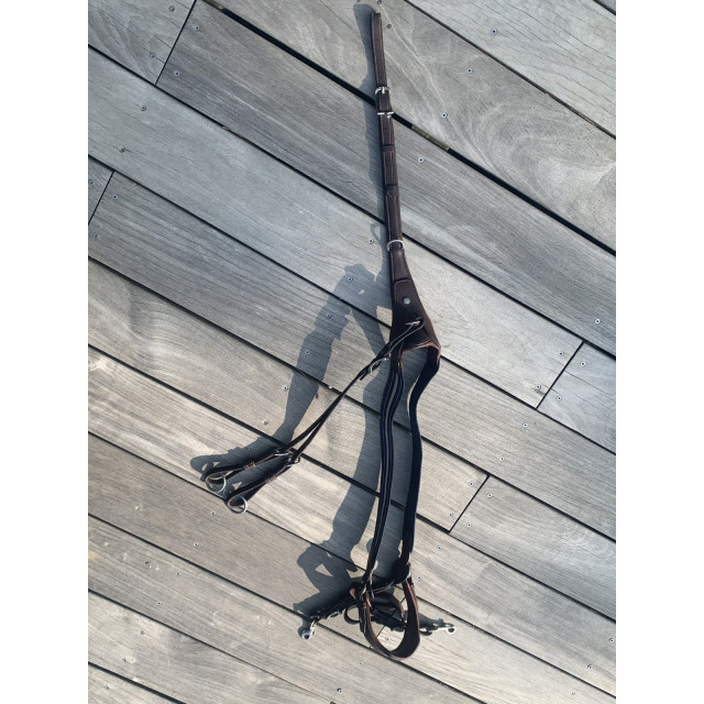 collier de chasse antares