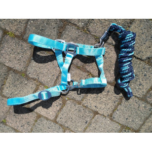 Licol bleu ciel +corde taille poney