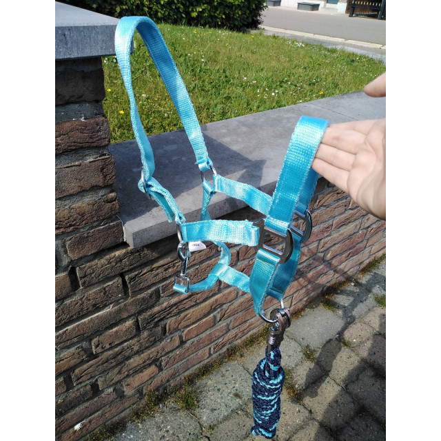 Licol bleu ciel +corde taille poney