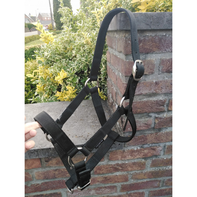 Licol noir taille cob