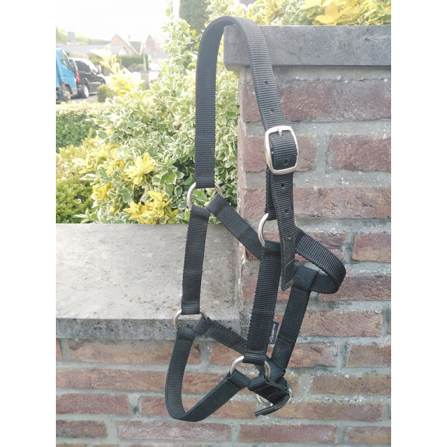 Licol noir taille cob