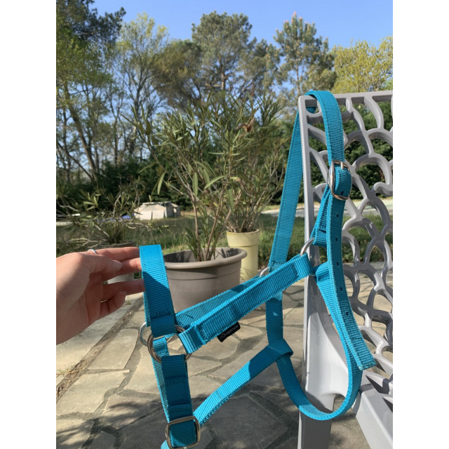 Licol de la marque fouganza