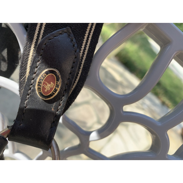 martingale taille cheval