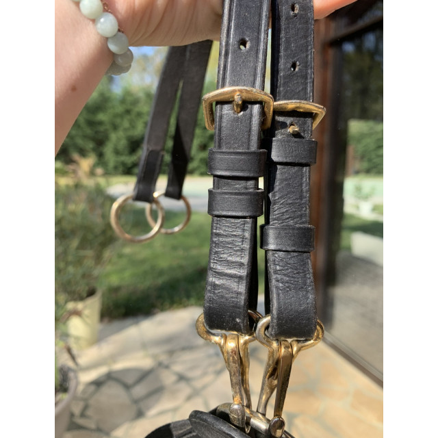 martingale taille cheval