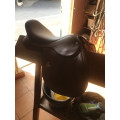 Selle Cheval Obstacle