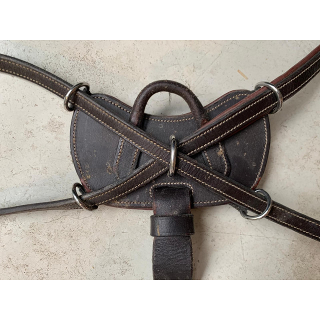 Collier de chasse Dyon 5 points Taille poney marron, bon état