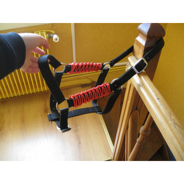 Licol noir personnalisé