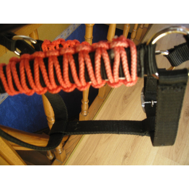 Licol noir personnalisé