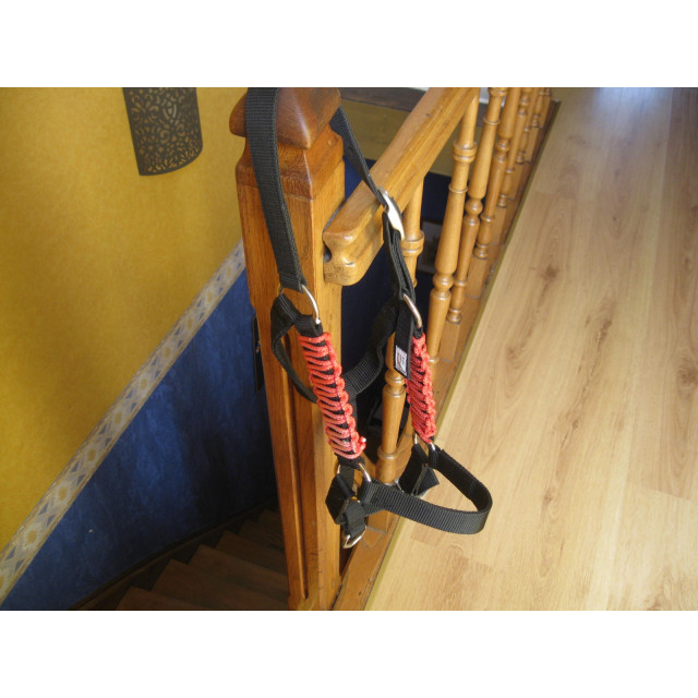 Licol noir personnalisé