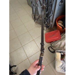 Collier de chasse cwd