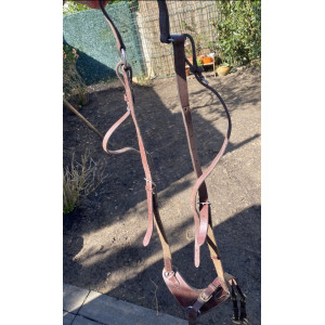 Collier de chasse Eric Thomas taille cheval