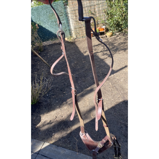 Collier de chasse Eric Thomas taille cheval