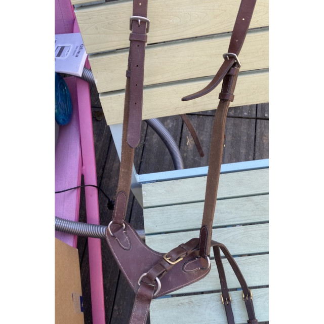Collier de chasse Eric Thomas taille cheval