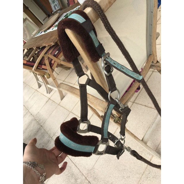 Licol avec moumoute + longe