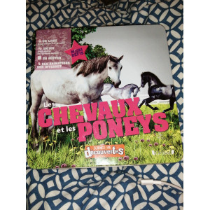 Jeux de société et divertissement.