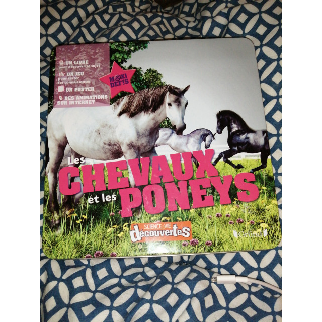 Jeux de société et divertissement.