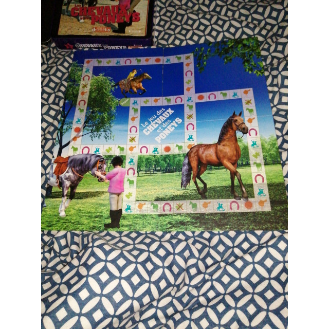 Jeux de société et divertissement.