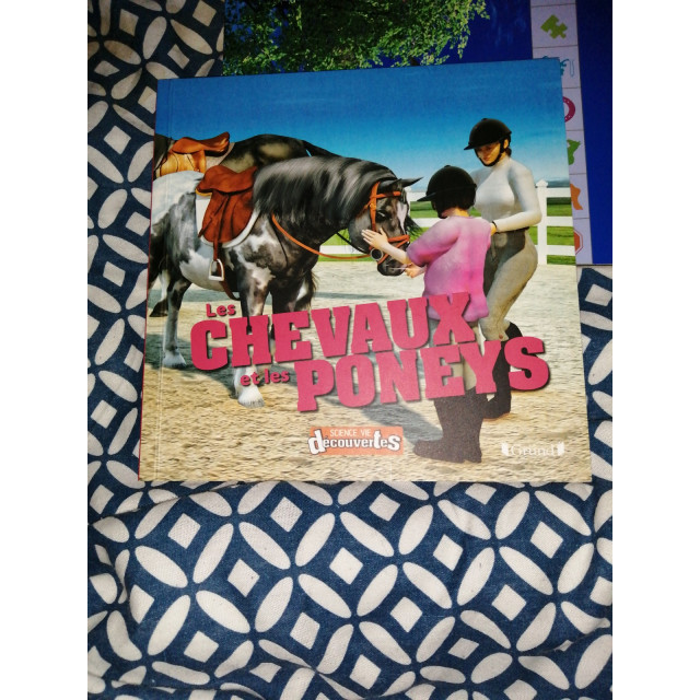 Jeux de société et divertissement.