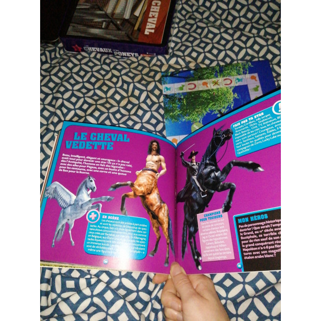 Jeux de société et divertissement.