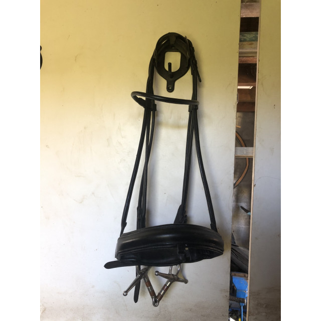 Bridon harry’s horse