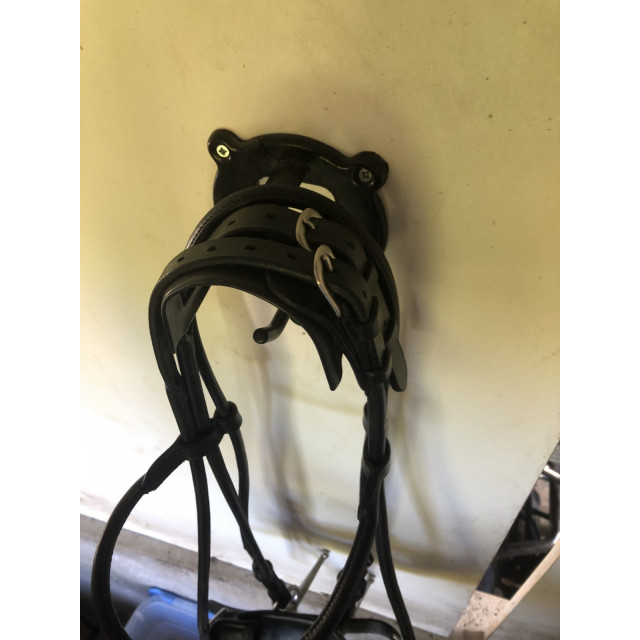 Bridon harry’s horse