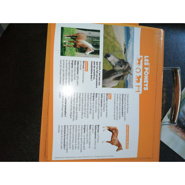 Mallette "À cheval".