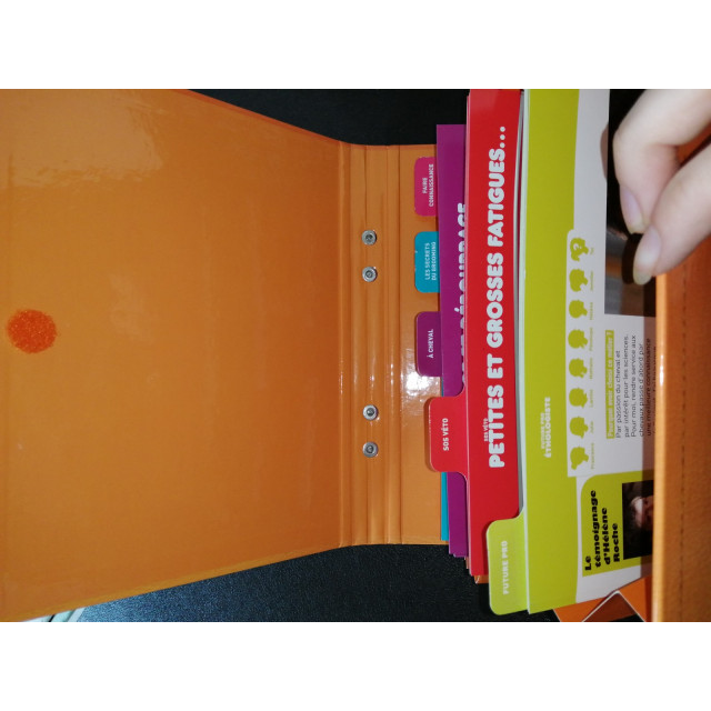 Mallette "À cheval".