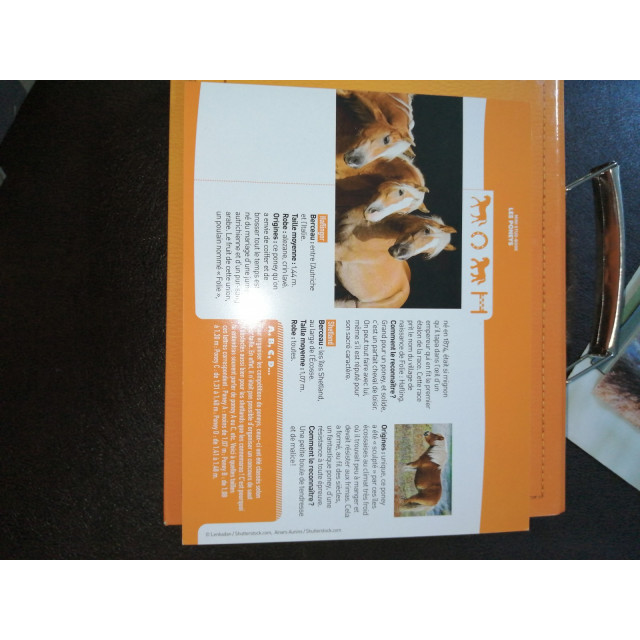 Mallette "À cheval".