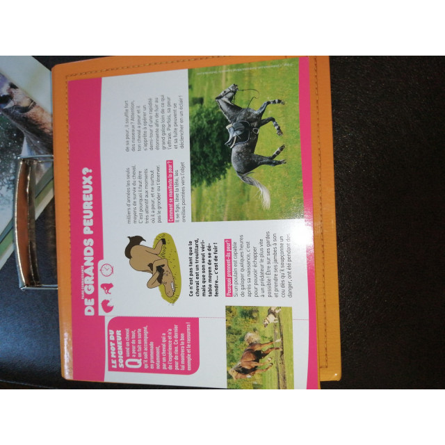 Mallette "À cheval".