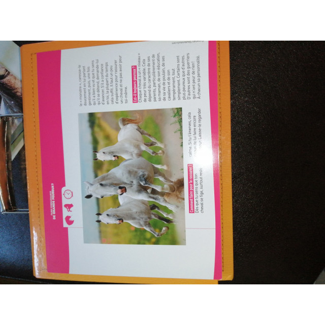 Mallette "À cheval".