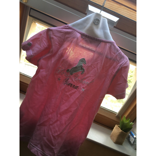 Polo rose