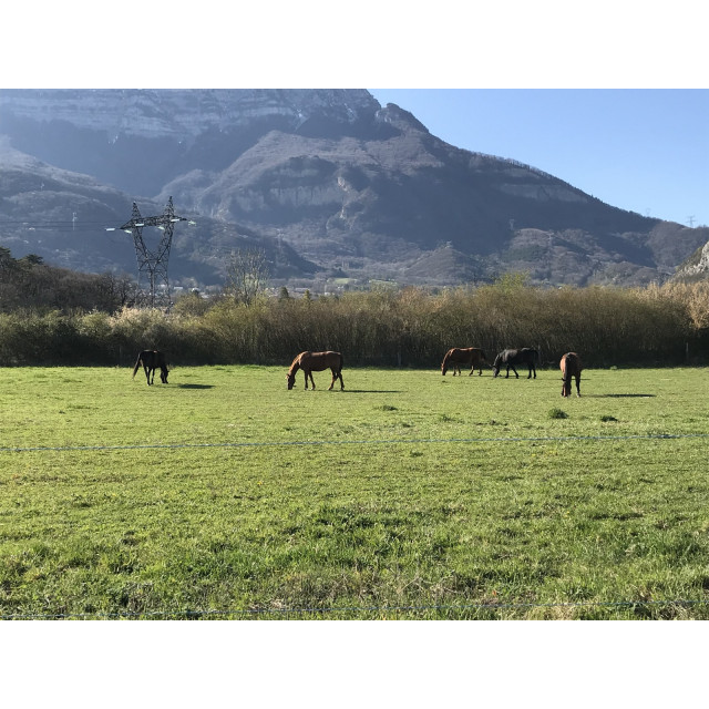 Selle western randonnée