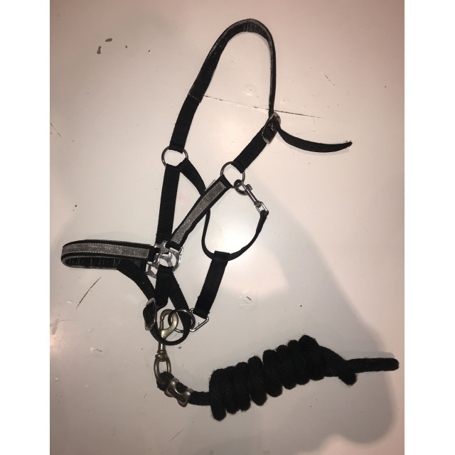 Licol Noir à strass