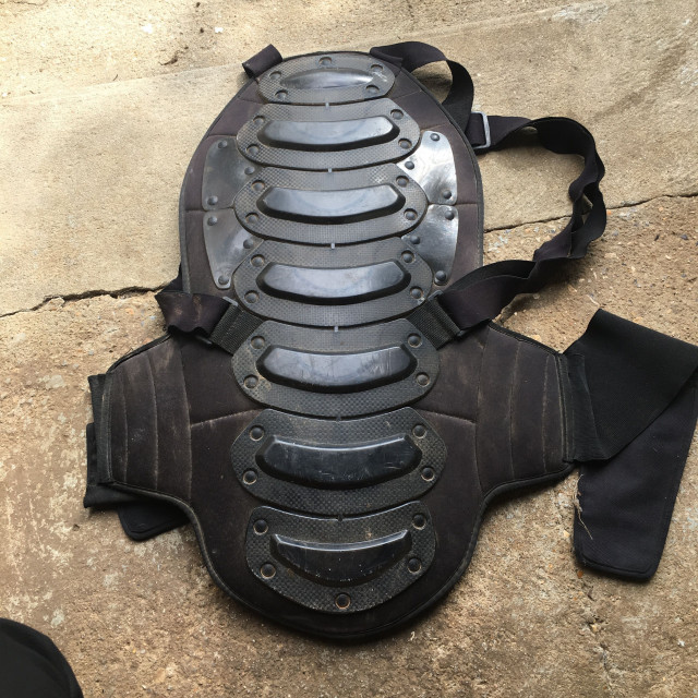 Coque dorsale