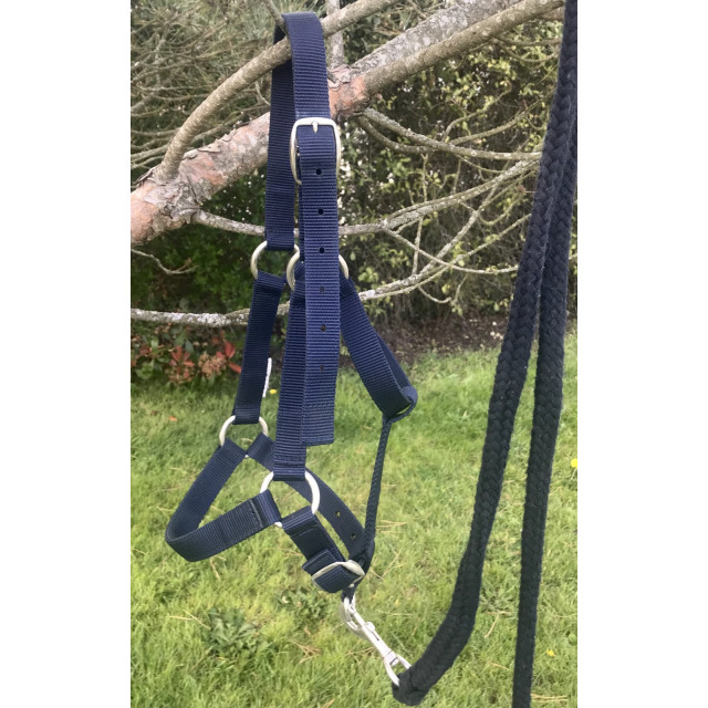 Licol avec sa longe assortie - FOUGANZA